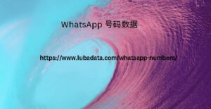 WhatsApp 号码数据