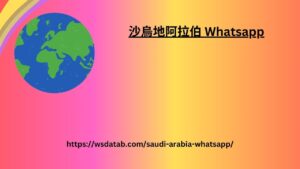 WhatsApp 号码