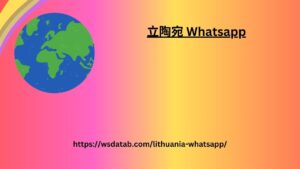 WhatsApp 号码