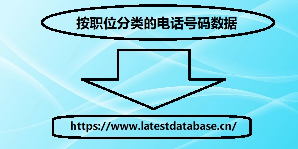 按职位分类的电话号码数据