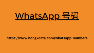 WhatsApp 号码数据