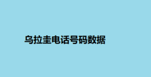 乌拉圭电话号码数据